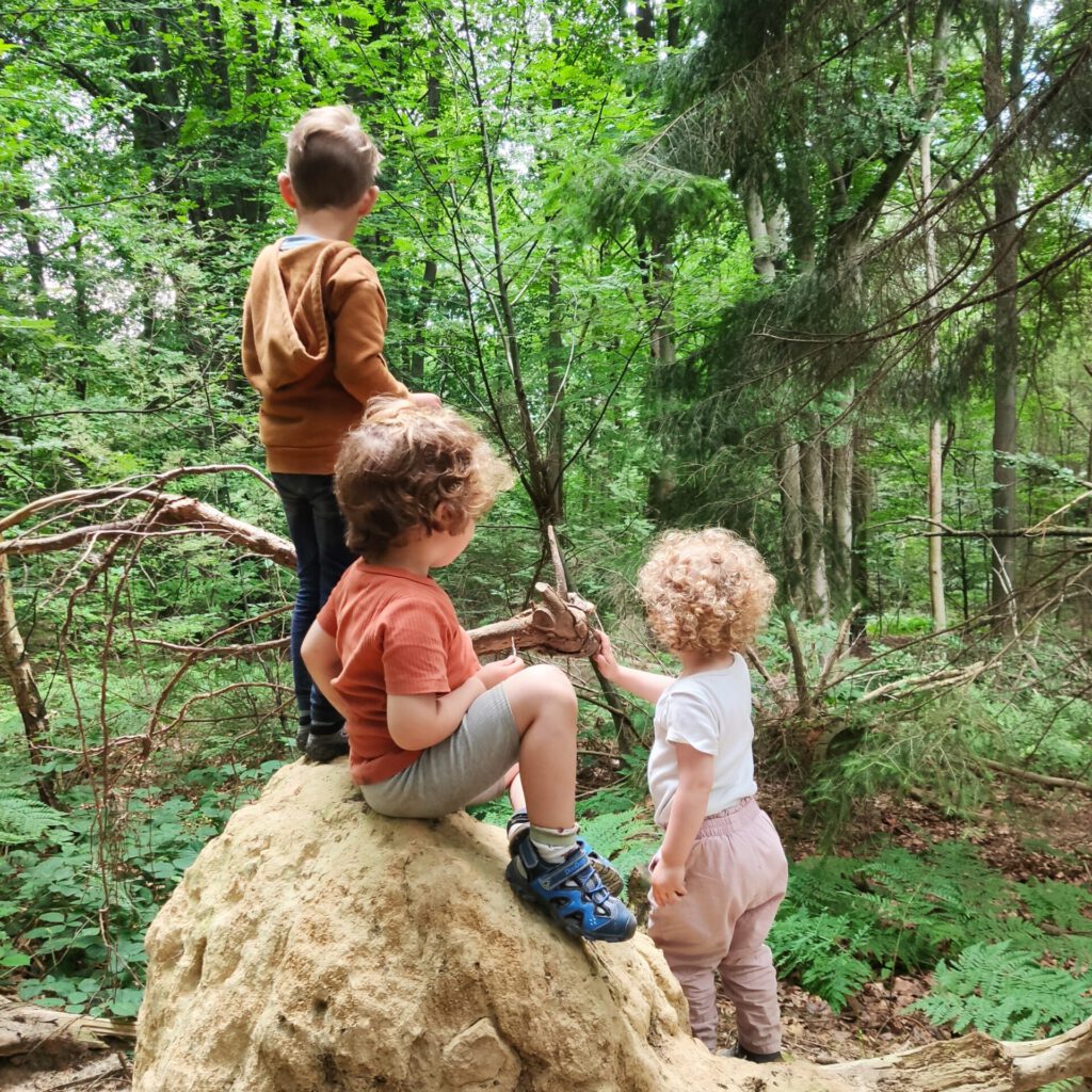 Kinder stehen im Wald auf Sandhügel